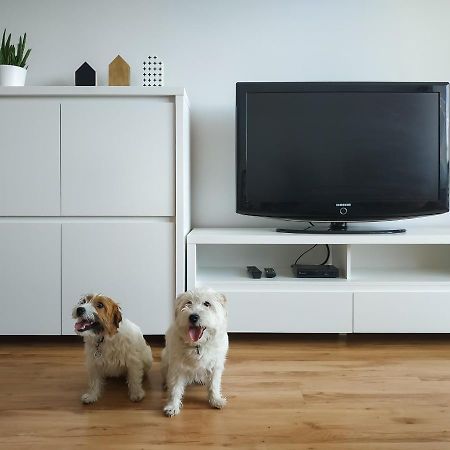 Uroczy Apartament Pod Skarpa Wadowice Ngoại thất bức ảnh