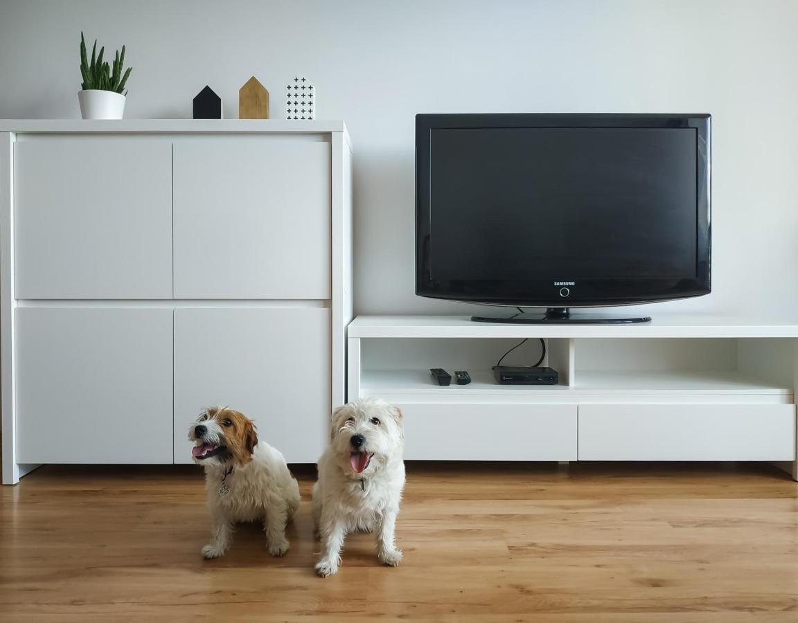 Uroczy Apartament Pod Skarpa Wadowice Ngoại thất bức ảnh